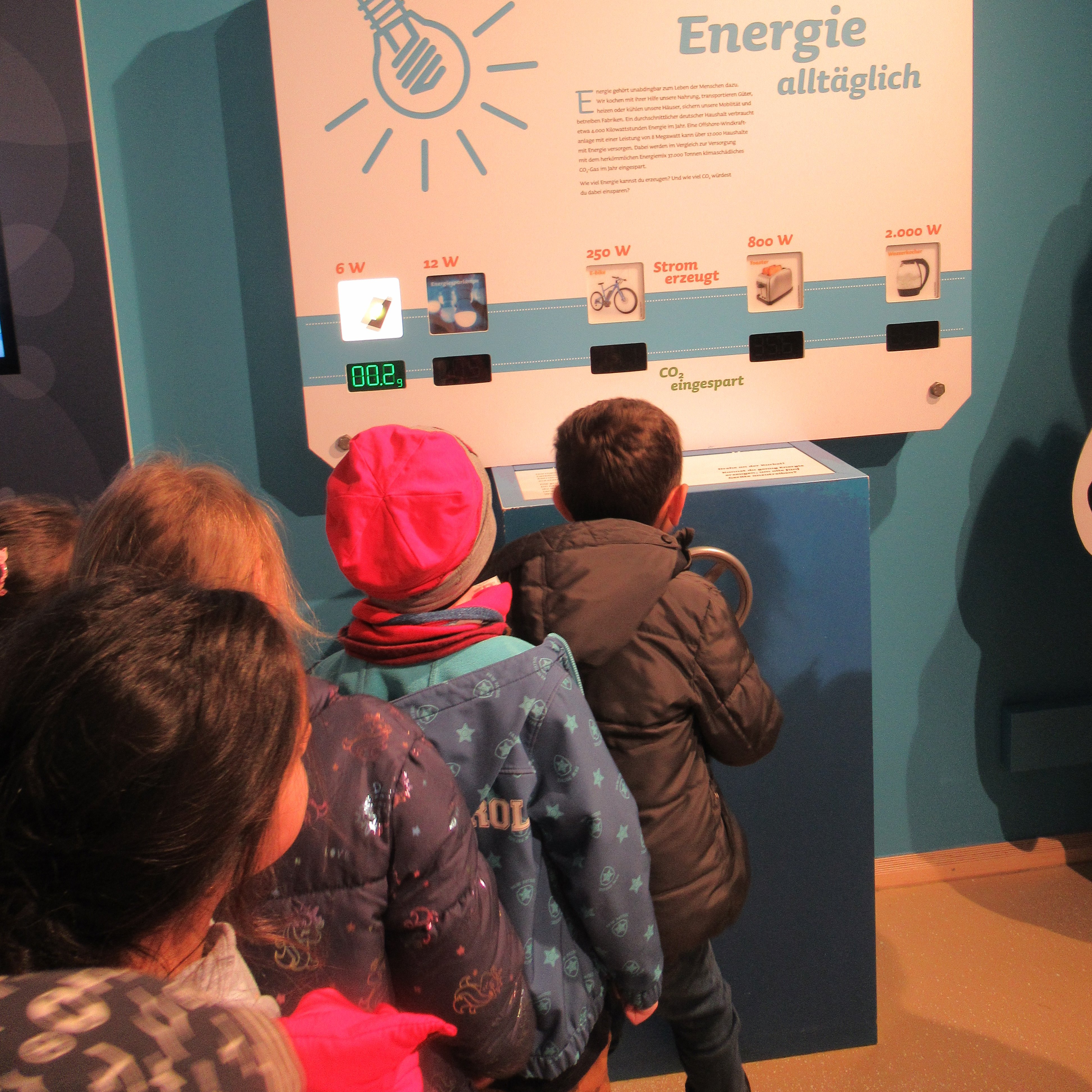 Die Vorschulkindern waren zu Besuch in der Seehundaufzuchtstation in Norden/Norddeich. Foto: DiKiTa