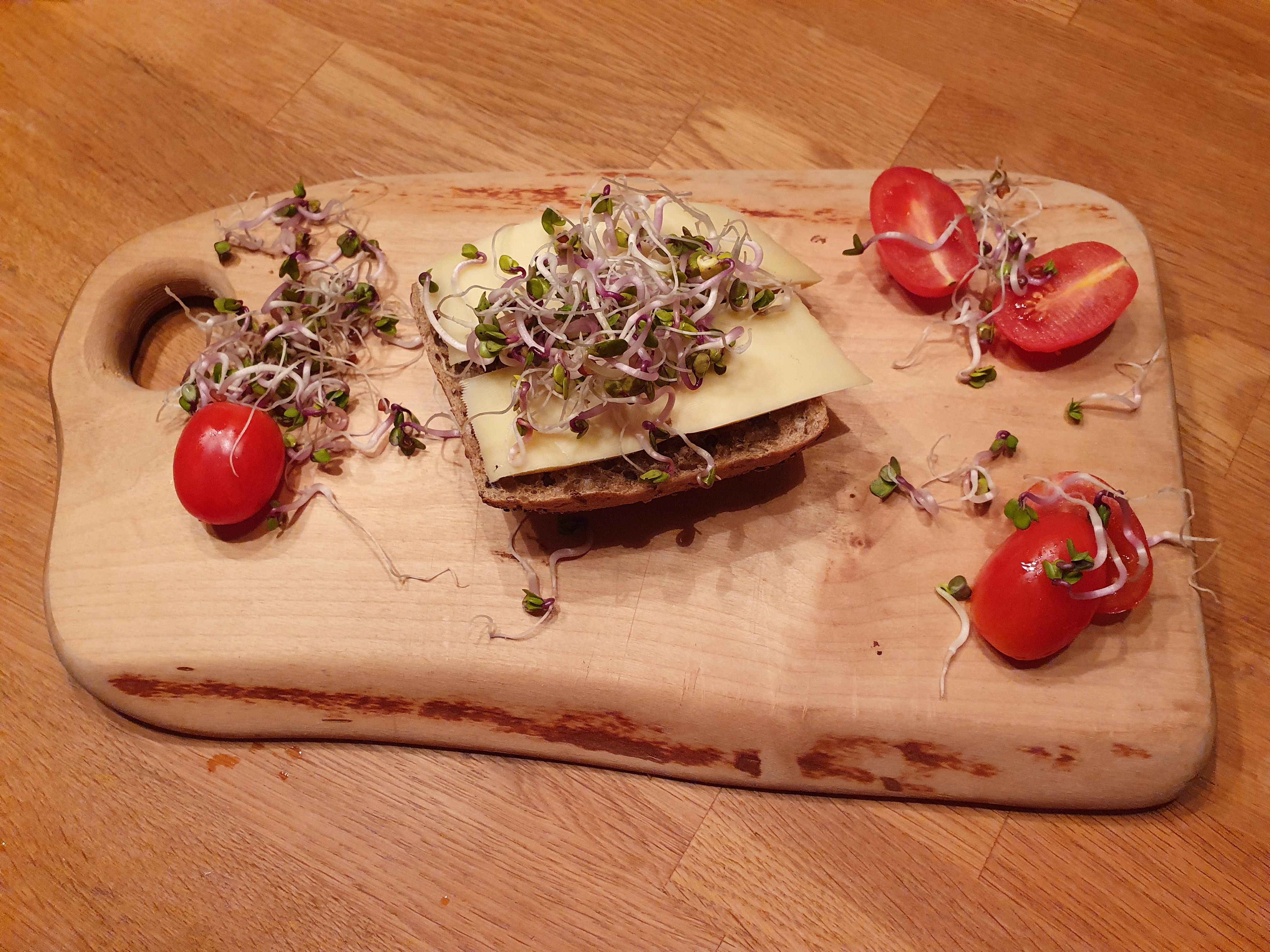 Sprossen sind gesund und lecker. Foto: Nachbarschaftsbüro Delmenhorst