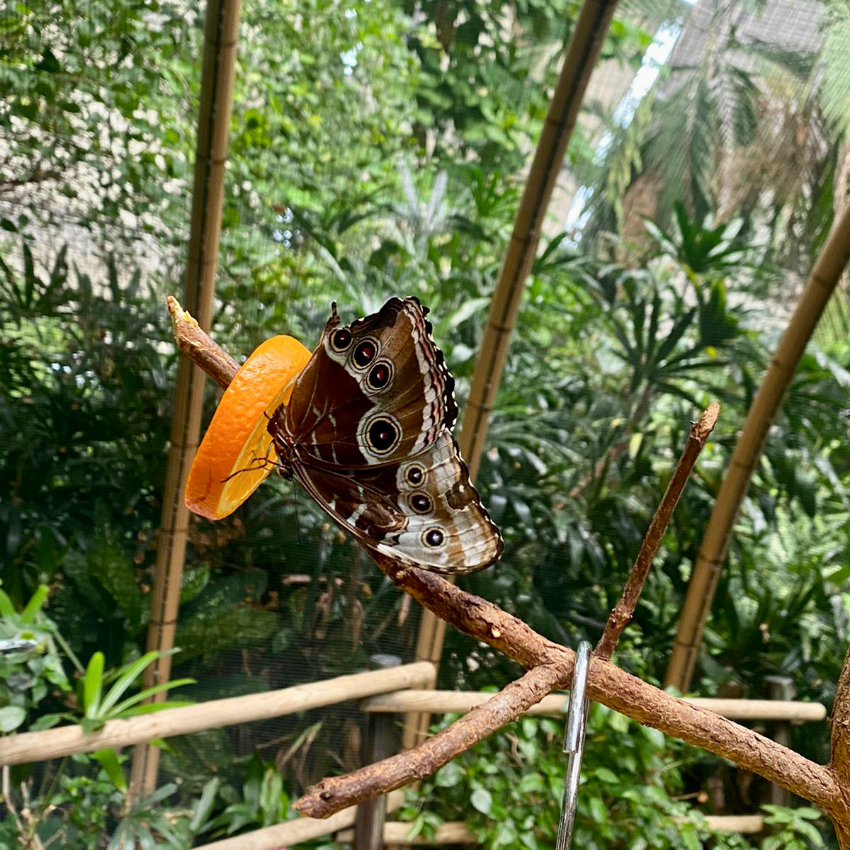 Die Mädchenwohngruppe der Jugendhilfe Collstede  hat einen unvergesslichen Urlaub im Tropical Island erlebt. Foto: Jugendhilfe Collstede