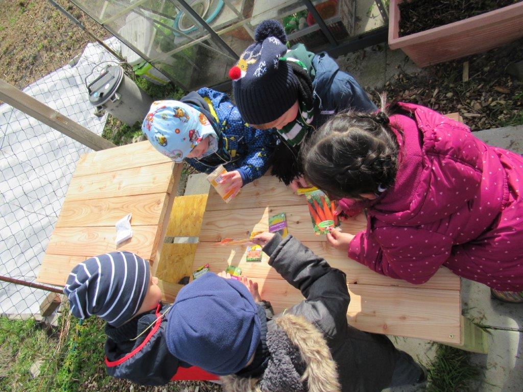 Beim ersten Besuch im Lehrgarten erkundeten die Jungen und Mädchen den Garten und pflanzten Mais und Sonnenblumen. Fotos: DiKiTa